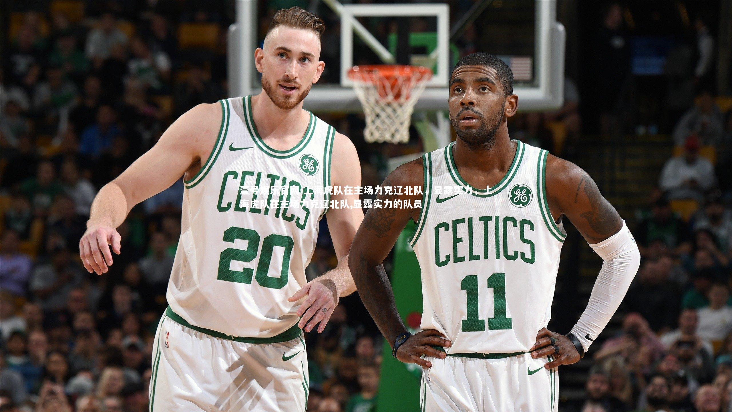 壹号娱乐官网-上海虎队在主场力克辽北队，显露实力，上海虎队在主场力克辽北队,显露实力的队员